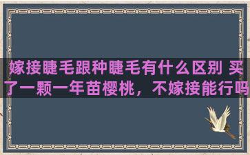 嫁接睫毛跟种睫毛有什么区别 买了一颗一年苗樱桃，不嫁接能行吗